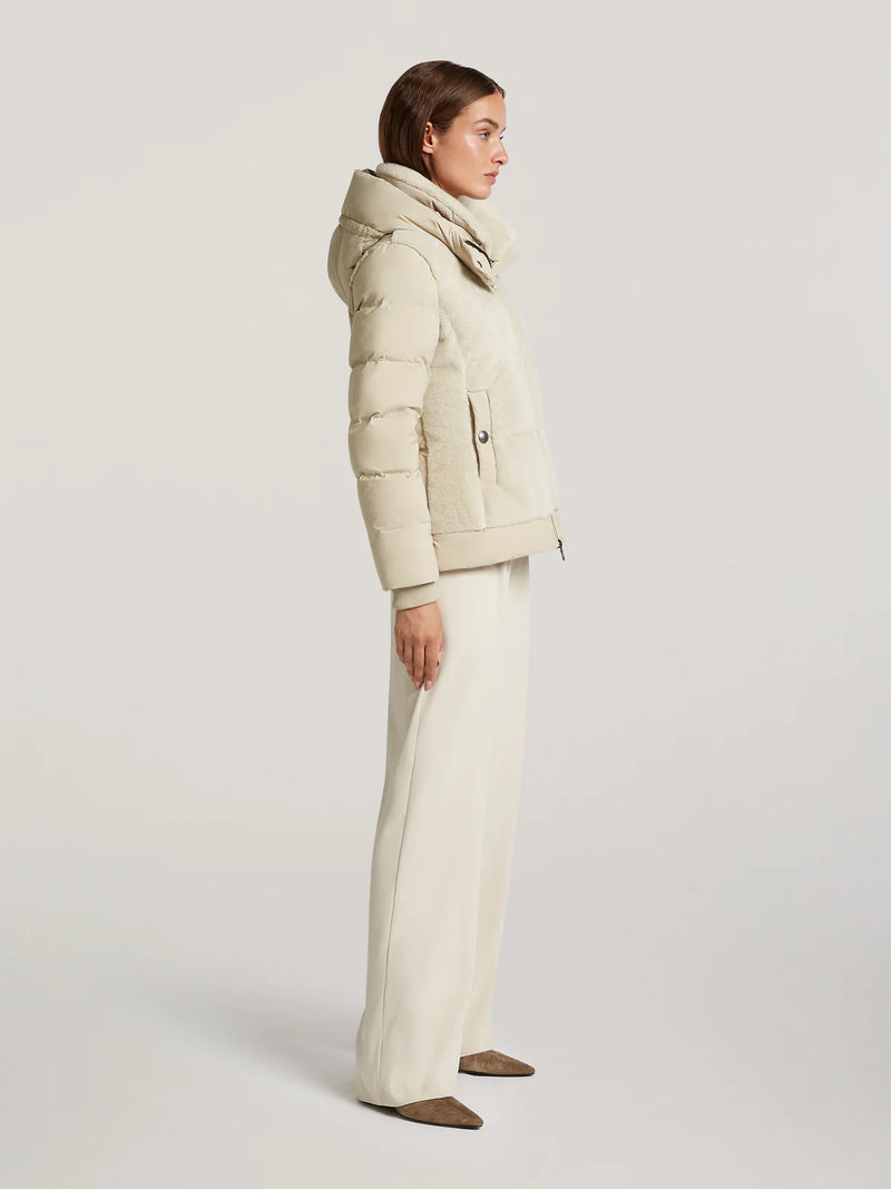 Dolly Jacket